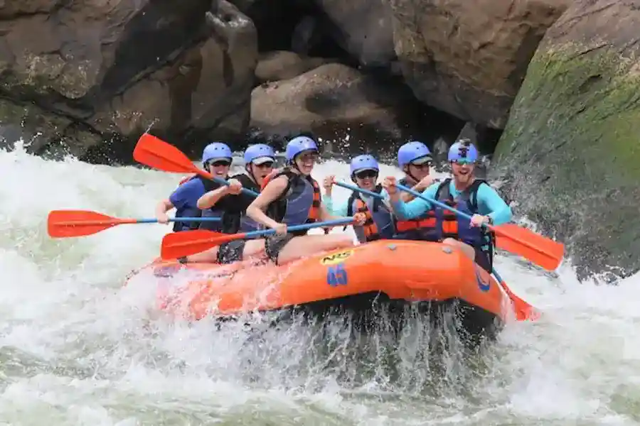 people riding orange kayaks on the river during the daytime
